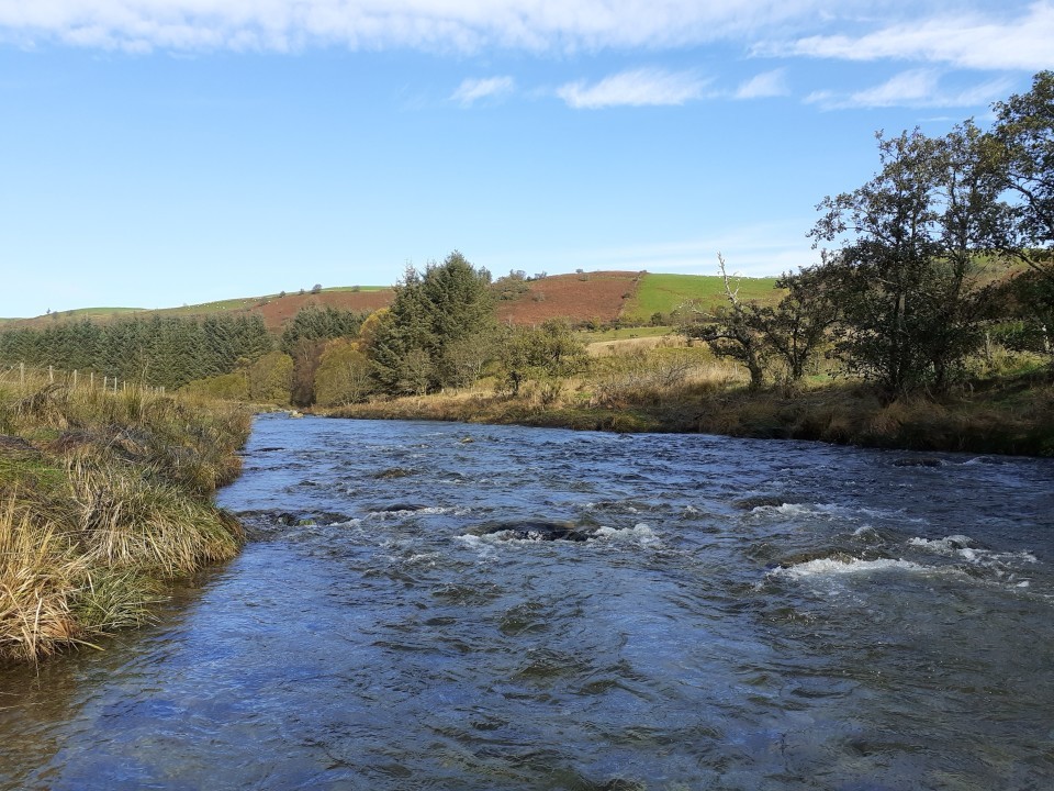 Top of the Wye at Ty Mawr - JA from Leominster